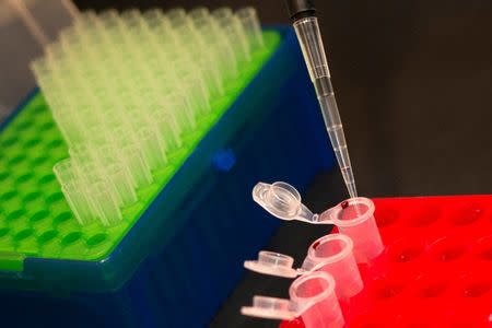 A woman uses vials for drug testing at MolecularDX in Windber, Pennsylvania, U.S. on August 9, 2017. REUTERS/Adrees Latif