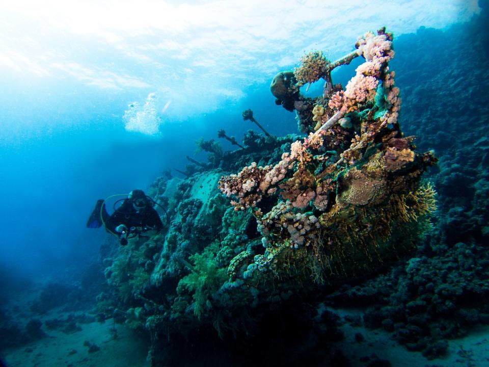 15 Mesmerizing Photos of Underwater Shipwrecks