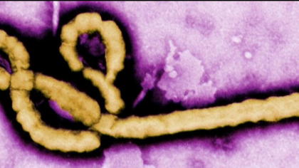 NewLink Genetics, Tekmira and others are trying to come up with more effective Ebola cures