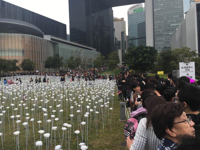 中環玫瑰花燈海園吸引大批市民觀賞