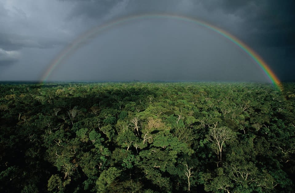 <b>Tormenta en la selva amazónica, cerca a Tefé, Brasil </b><br> La selva amazónica cubre el 64% de la superficie brasileña. Con sus casi cuatro millones de kilómetros cuadrados, el Amazonas es el mayor ecosistema de bosque tropical del mundo —representa la tercera parte de los bosques tropicales del planeta— y es el albergue de la mitad del patrimonio biológico terrestre. Tal es así que se estima en más de diez millones el número de especies que quedan por descubrir. A causa de la deforestación, el “pulmón del mundo” pierde diariamente unos 200 Km2 de bosque.