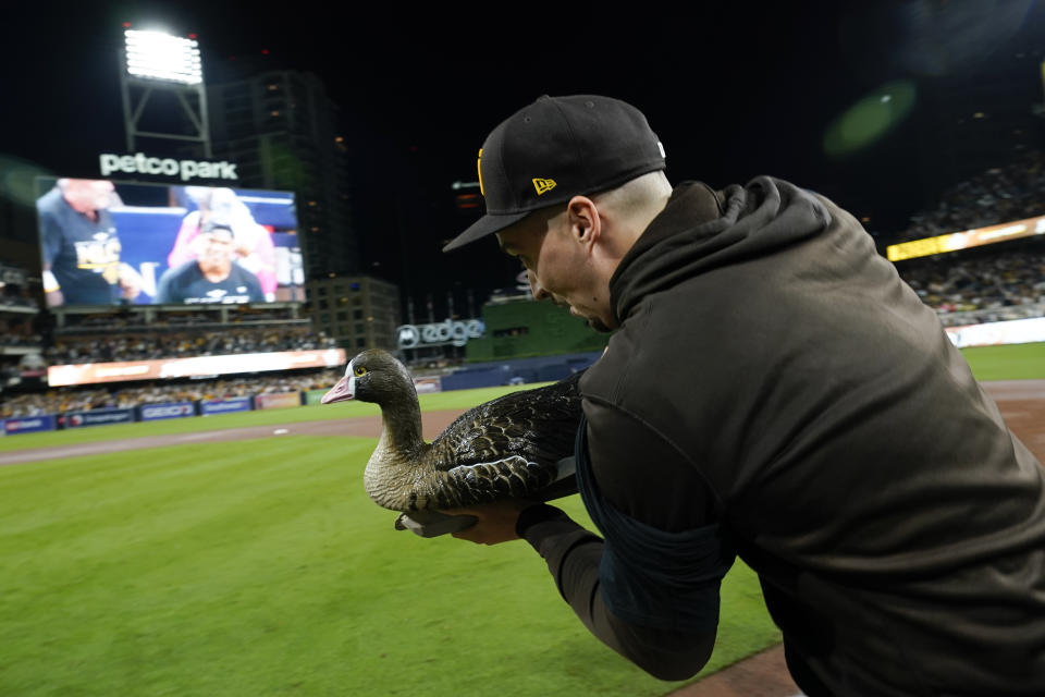 San Diego Padres starting pitcher Blake Snell runs with a goose decoy after the Padres defeated the Los Angeles Dodgers 5-3 in Game 4 of a baseball NL Division Series, Saturday, Oct. 15, 2022, in San Diego. (AP Photo/Ashley Landis)