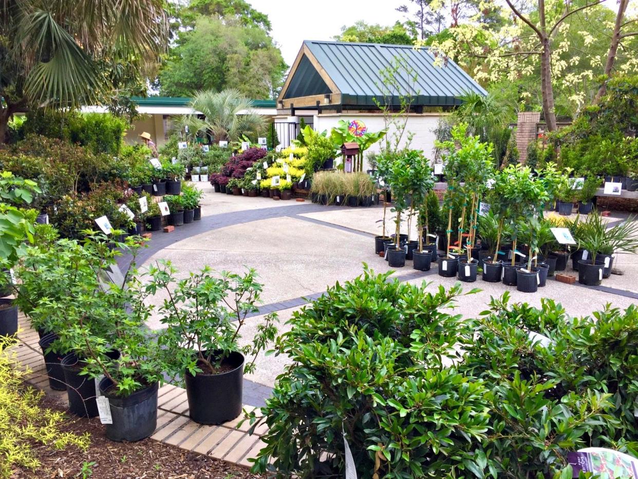 The annual plant sale will offer an assortment of plants for the landscape.