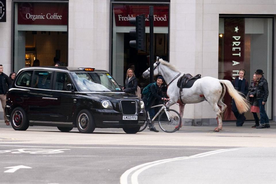 英國倫敦街頭有多匹軍馬脫韁狂奔，一度引發混亂。美聯社