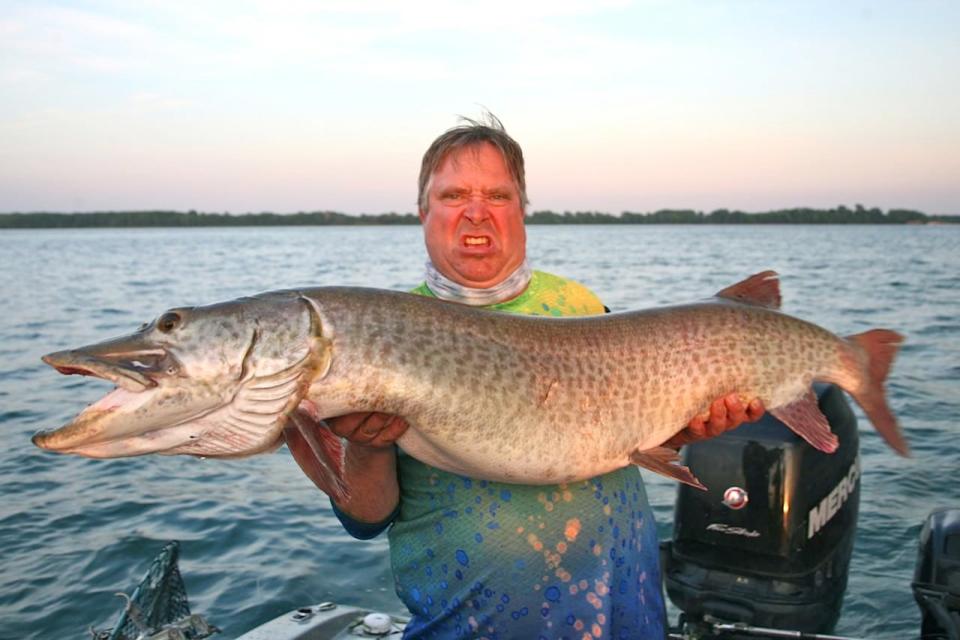 Michael Lazarus, a muskie fishing guide, says the waters around the Montreal area are great for muskie fishing. The fish can live for more than 30 years and grow very large.