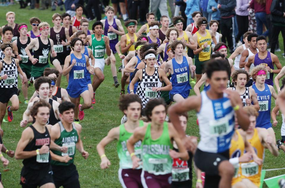 Runners hit the course at last week's regional cross country meet in Boardman.