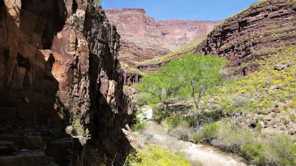 PHOTO: On Sept. 4, 2022, the Grand Canyon Regional Communications Center received a report of a deceased backpacker along the Thunder River Trail, a trail on the north rim of the Grand Canyon National Park in Arizona. (E. Foss/National Park Service)