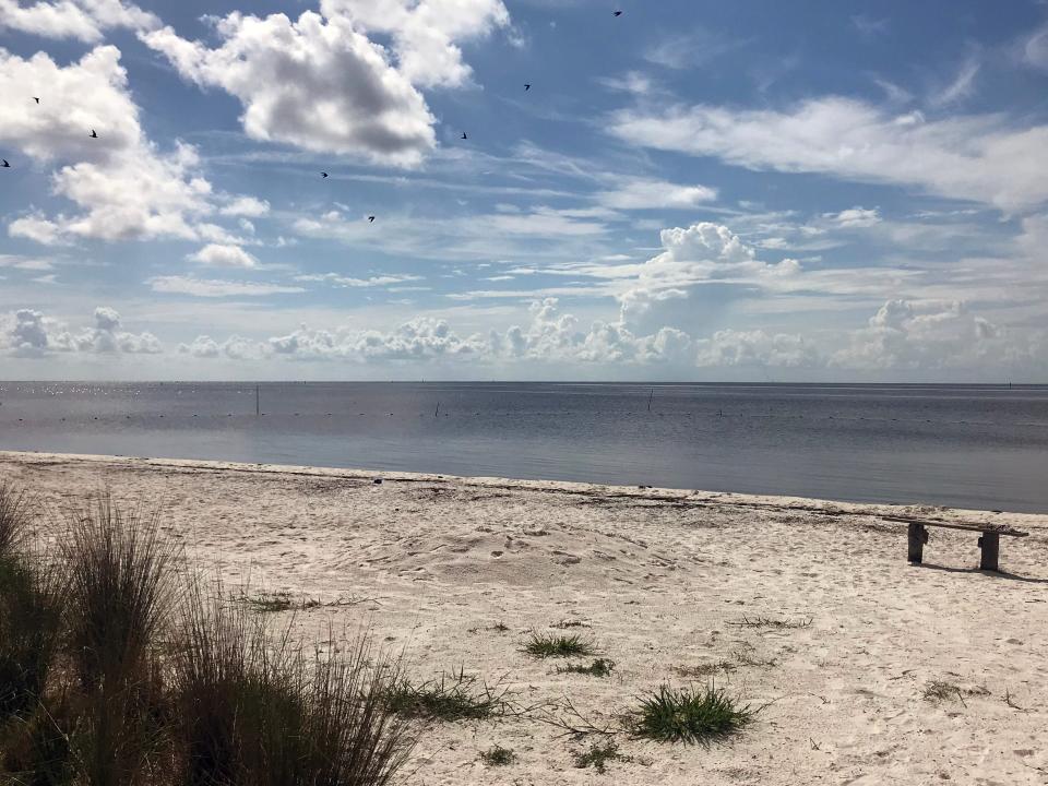 An empty white sand beach