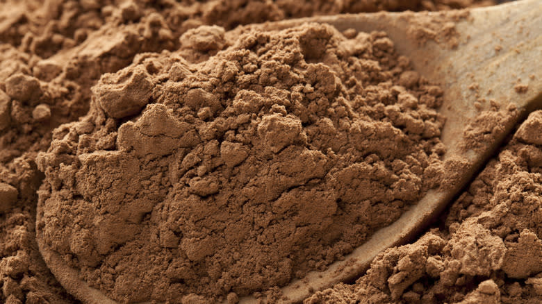 cocoa powder on wooden spoon