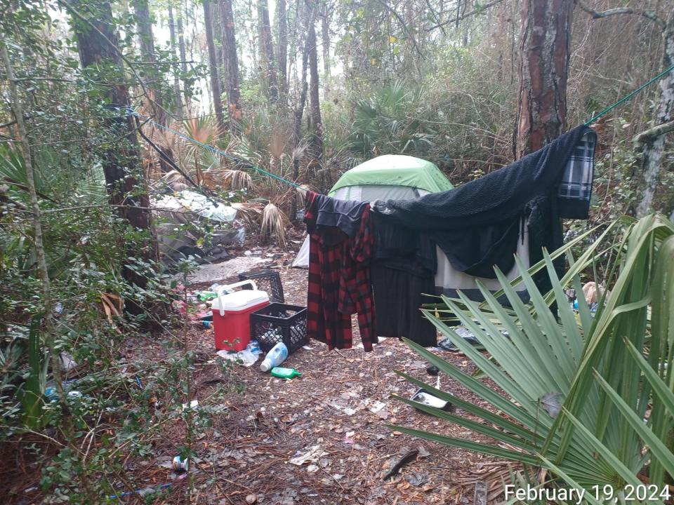 Some people have been living in the woods on property behind the Publix shopping plaza at Beville Road and Clyde Morris Boulevard in Daytona Beach.