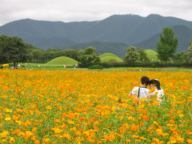 Love in Gyeongju