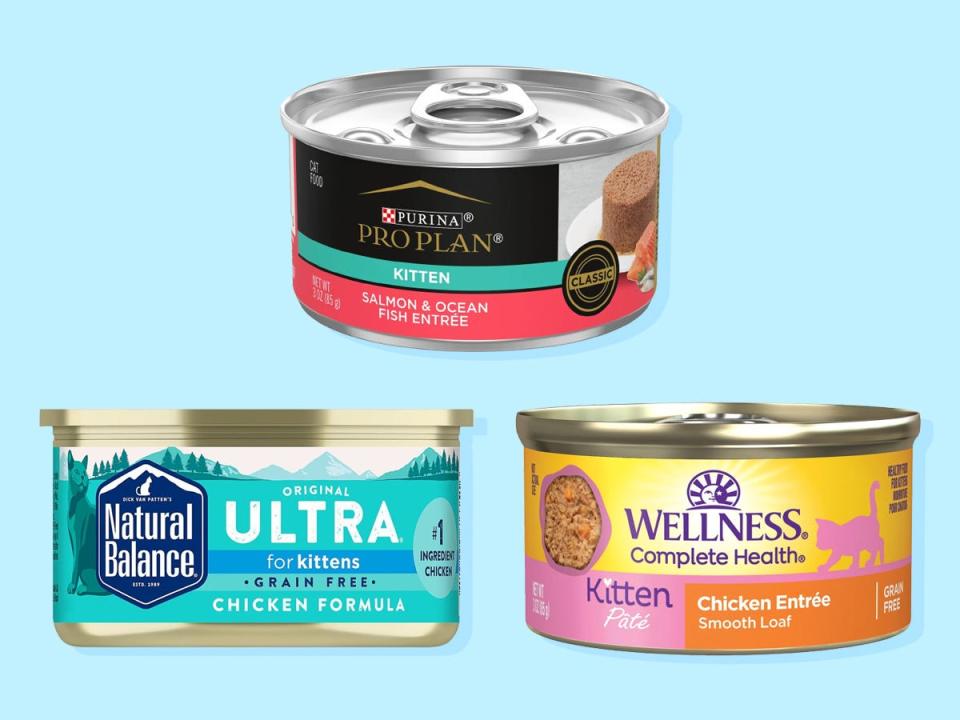 Three cans of wet kitten food from Wellness, Purina, and Natural Balance are on a blue background.