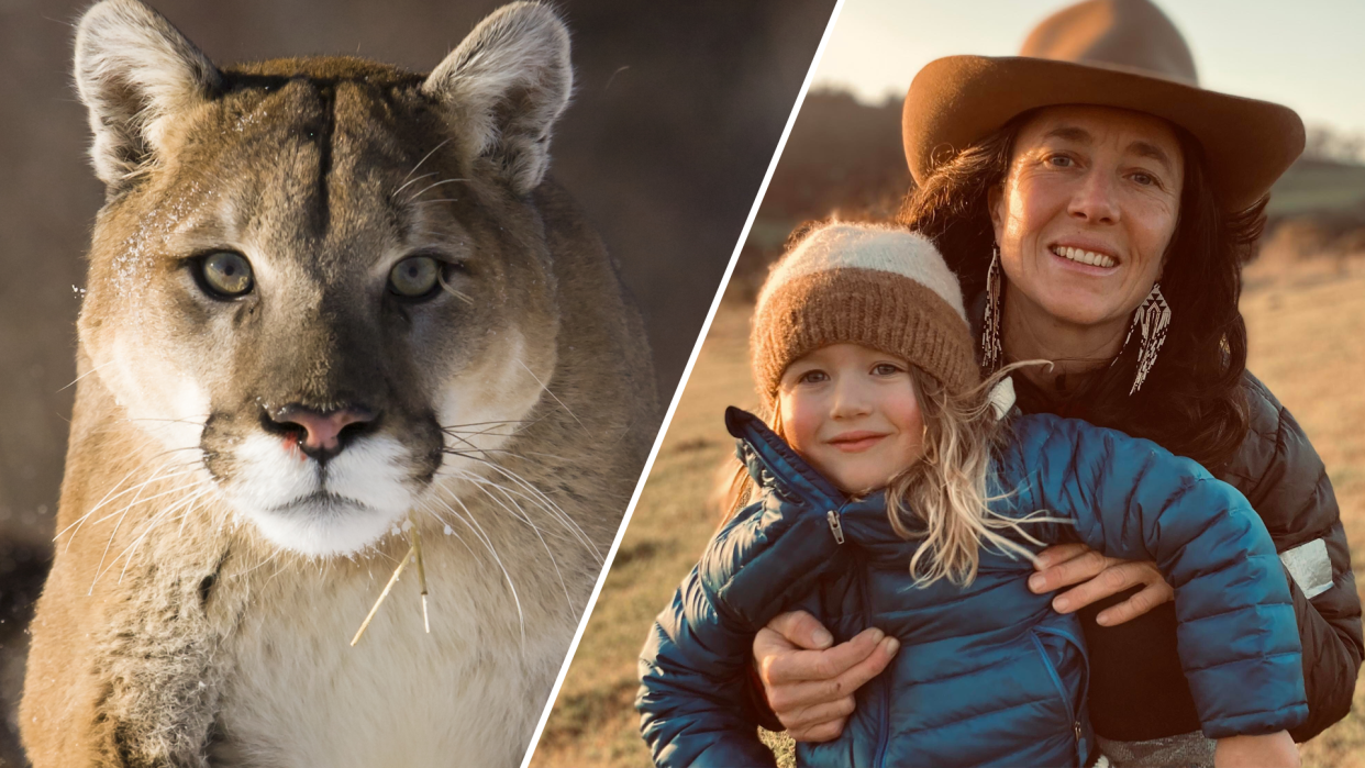 A brave California mom, Suzie Trexler, fended off a mountain lion cub who attacked her 5-year-old son, Jack. (Photo: Getty Images, courtesy Trexler family)