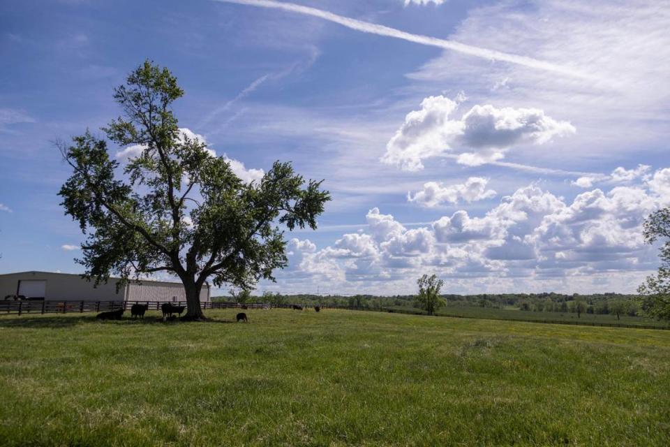 A 450-acre farm on Graefenburg Road off Highway 151 will be developed into a new bourbon aging campus for Buffalo Trace. Neighbors who oppose the project are fighting the plan.