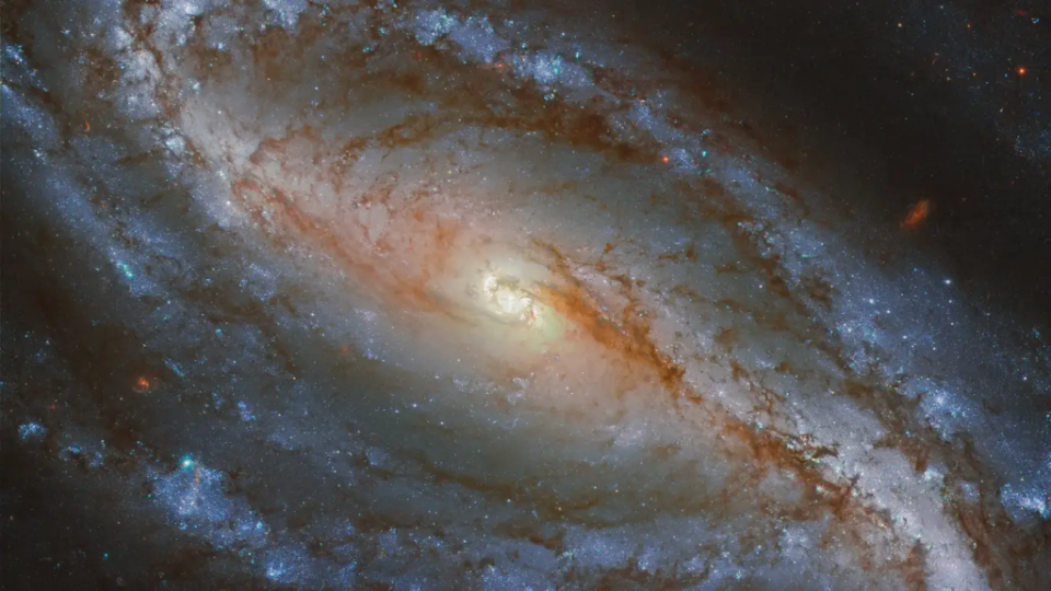 NGC 613是位於雕刻家座南方的一個星系，距離地球約6700萬光年。這幅由NASA/ESA哈勃太空望遠鏡拍攝的圖像中，NGC 613是一個帶有明顯中央星條和環繞核心的長螺旋臂的條紋螺旋星系的例子。像我們的銀河系一樣，約三分之二的螺旋星系都包含有這樣的星條。（圖／NASA）