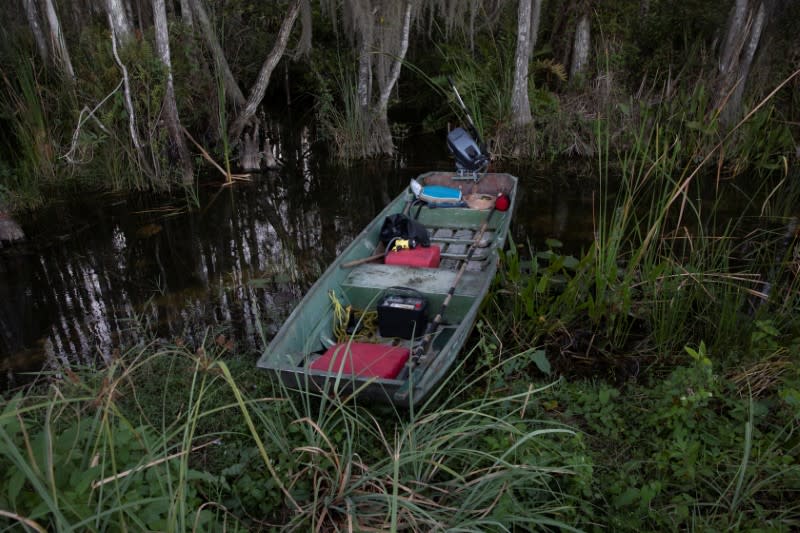 A boat of a Burmese python hunter is seen in the Everglades' swamps near Ochopee