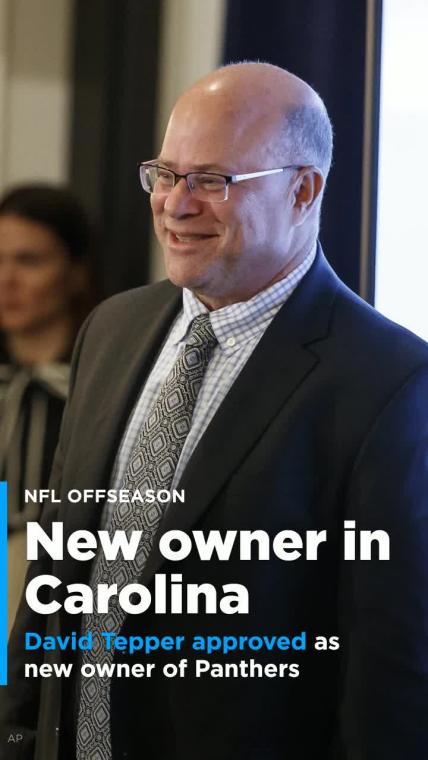 NFL approves David Tepper as new owner of Carolina Panthers