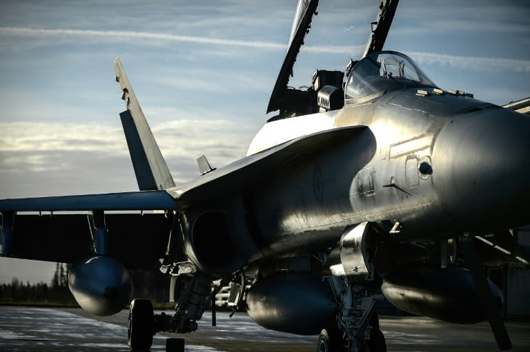 A Canadian CF-18 Hornet warplane takes part in a joint NATO exercise in 2014