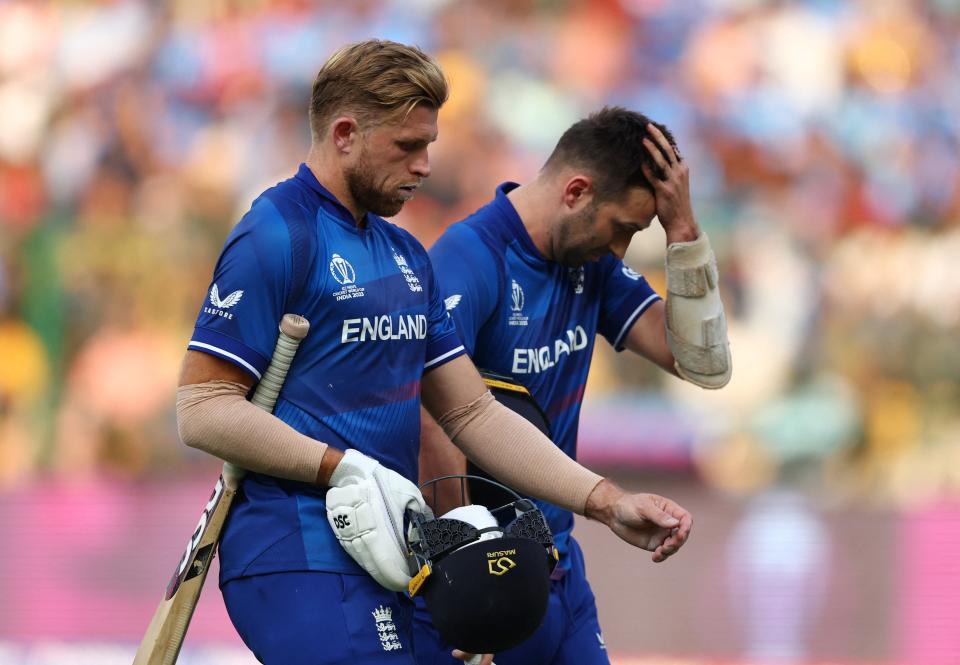 Willey and Wood walk off after the final wicket (REUTERS)