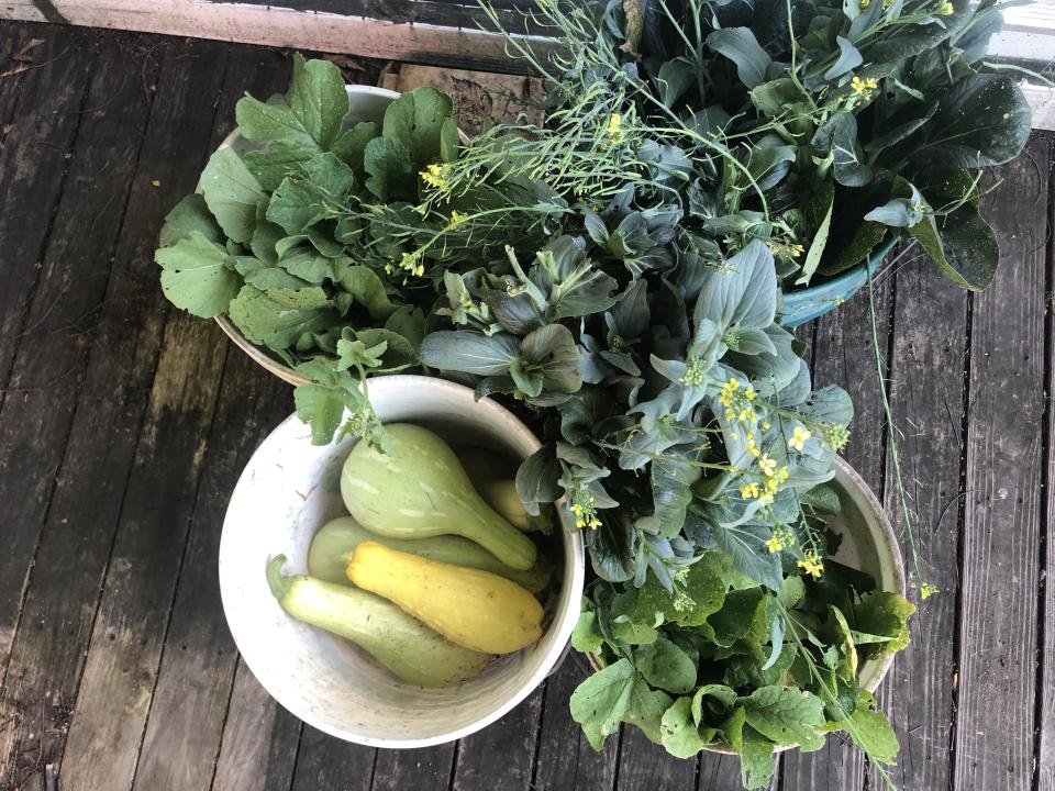 The Community Ecology Institute in Columbia, Maryland, is growing vegetables with the help of high school students to help tackle climate change. (Photo: Community Ecology Institute)