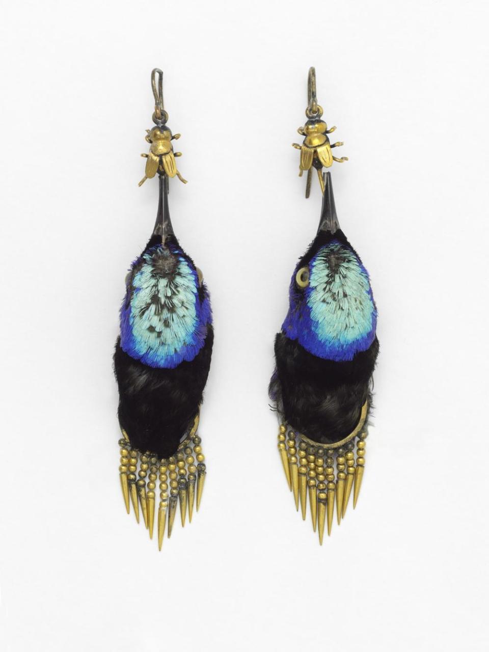 Earrings made from heads of Red Legged Honeycreeper birds, circa 1875 (Victoria and Albert Museum, London)