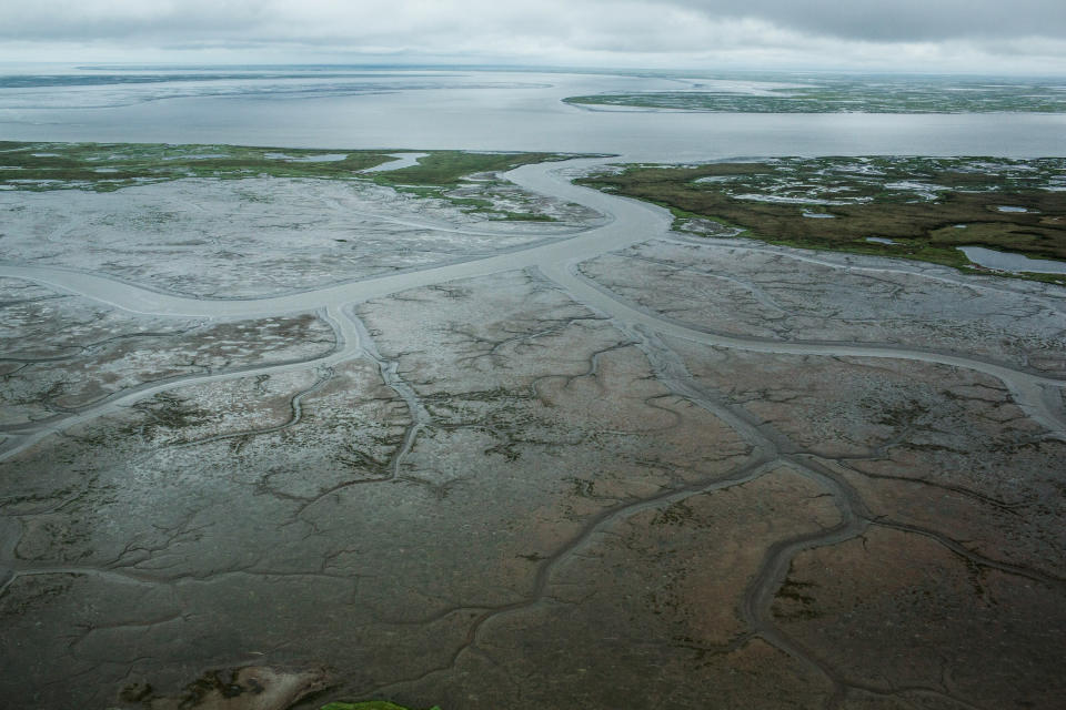NEWTOK, AK - JULY 06:  The marshy, tundra landscape surrounding Newtok is seen from a plane on July 6, 2015 outside Newtok, Alaska. Newtok, which has a population of approximately of 375 ethnically Yupik people, was established along the shores of the Ninglick River, near where the river meets the Bering Sea, by the Bureau of Indian Affairs (BIA) in 1959. The Yupik people have lived on the coastal lands along the Bering Sea for thousands of years. However, as global temperatures rise the village is being threatened by the melting of permafrost; greater ice and snow melt - which is causing the Ninglick river to widen and erode the river bank; and larger storms that come in from the Bering Sea, which further erodes the land. According to the U.S. Army Corp of Engineers, the high point in Newtok - the school - could be underwater by 2017. A new village, approximately nine miles away titled Mertarvik, has been established, though so far families have been slow to relocate to the new village.  (Photo by Andrew Burton/Getty Images)
