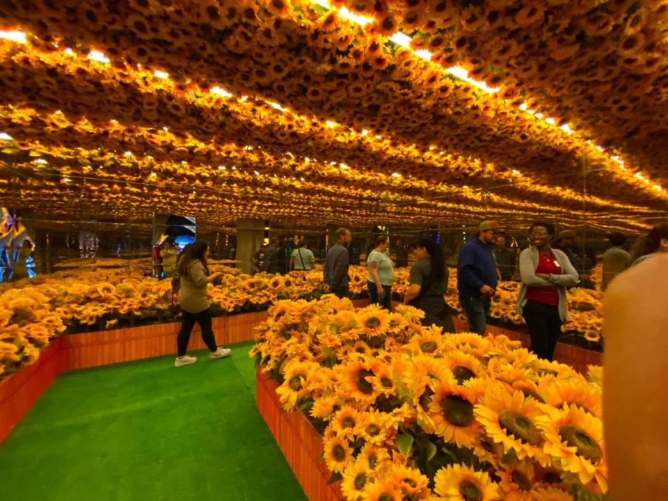 The Sedgwick County Zoo’s Wild Lights Chinese lantern display features several interactive pieces, including this mirrored hall of sunflowers.