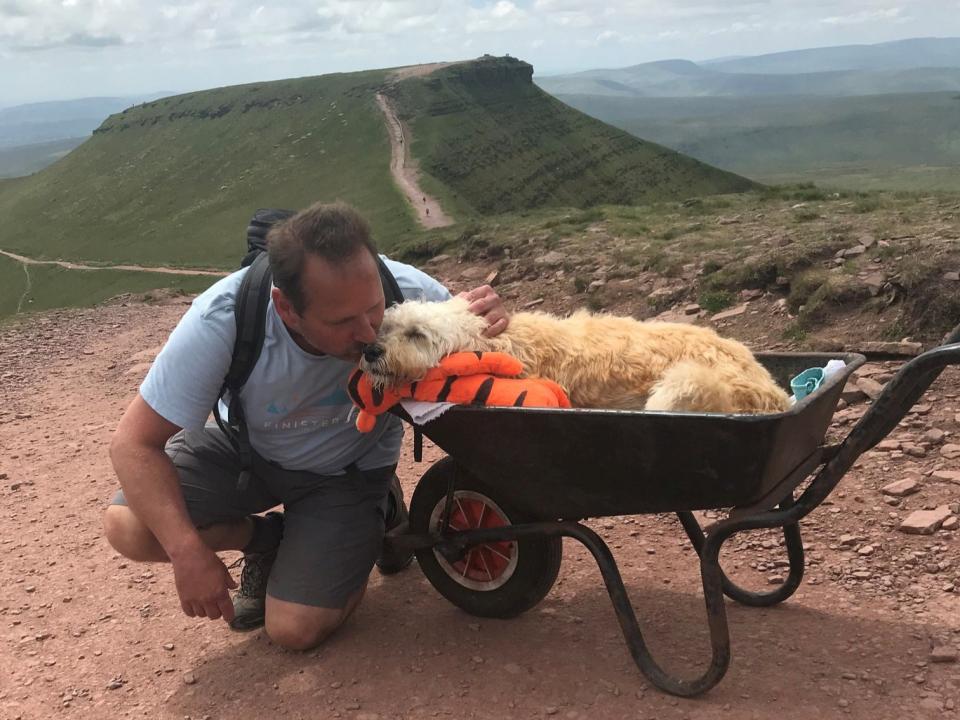 Carlos and Monty at the top of Pen-y-Fan in Wales (Carlos Fresco / SWNS)