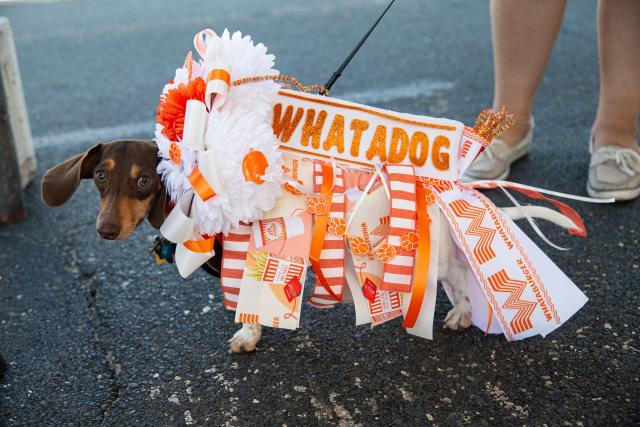 Bark at The Park 2019 - Texas Rangers Dog Parade at Globe Life Park 