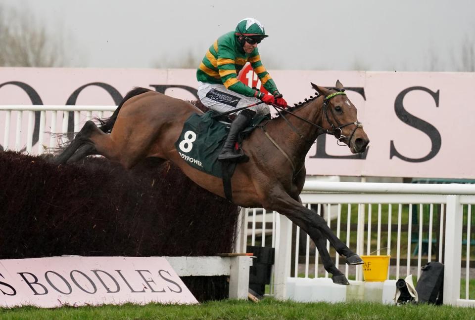 Cheltenham Mares’ Chase winner Limerick Lace is one of many contenders that could challenge Corach Rambler (Adam Davy/PA)