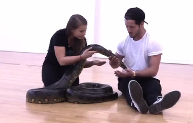 Bindi and her friendly companion, a constrictor boa. Photo: ABC.