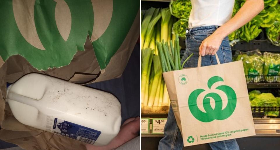 Ripped Woolworths paper bag next to carton of milk (left), shopper holding paper bag (right). Source: Facebook/Woolworths Group