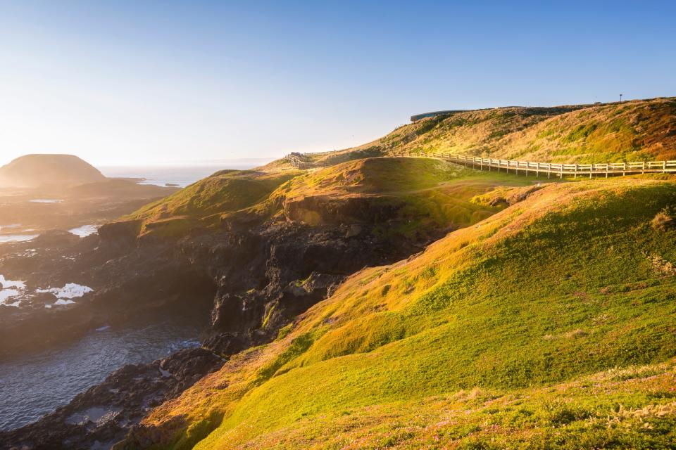 Philip Island, Victoria - getty