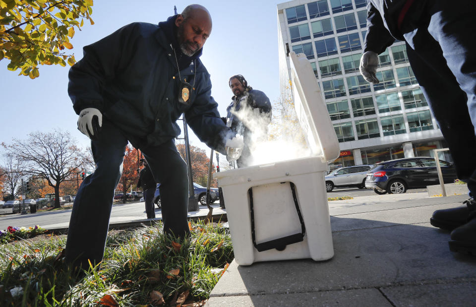 Pest Control Officers Gregory Cornes, left, uses a hand trowel to scoop-up dry ice before dropping it directly into rat burrows, as his co-worker Curtis Redman assist, near the Capitol building in Washington, Wednesday, Nov. 21, 2018. Both are from the Department of Health's Rodent Control Division. The nation’s capital is facing a spiraling rat infestation, fueled by mild winters and a human population boom. Washington’s government is struggling to keep pace (AP Photo/Pablo Martinez Monsivais)