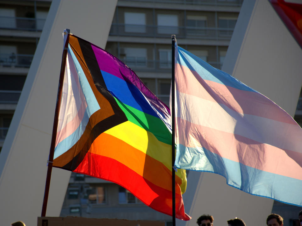 LGBTQIA flag and trans flag waving