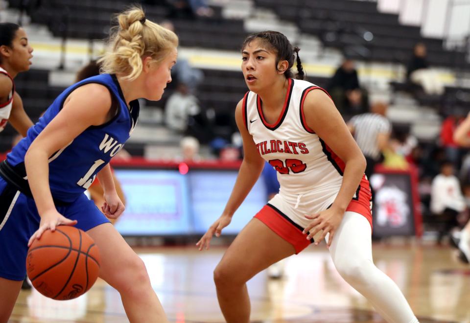 Westerville South's Tamara Ortiz has been named Co-Player of the Year in the OCC-Capital.