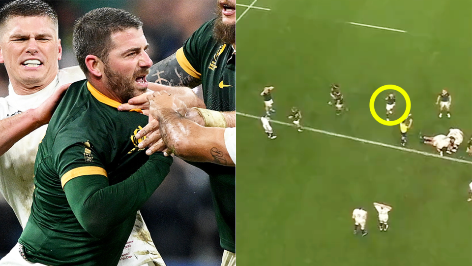 Willie Le Roux in a scuffle and Le Roux celebrating.