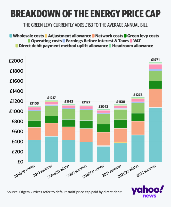 A breakdown of the average annual energy bill. The green levy currently accounts for about 8% of a total bill. (Yahoo News UK)