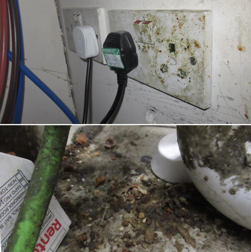 Plug sockets and floor covered in grime and rat droppings at KFC branch in Leytonstone (Waltham Forest Council)