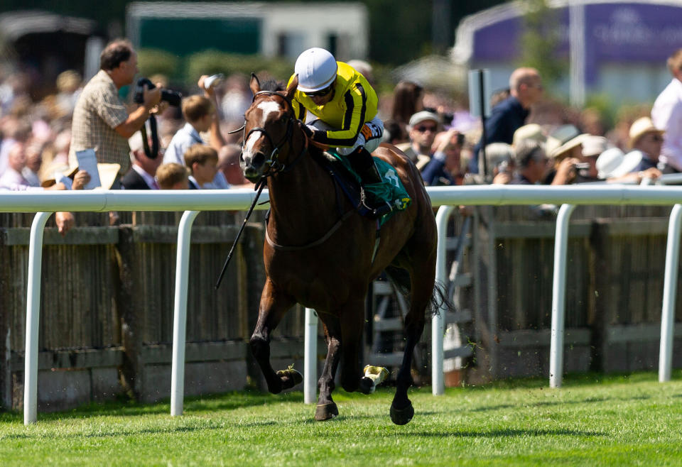 Pretty Pollyanna won the Duchess Of Cambridge Stakes, but blotted her copybook last time