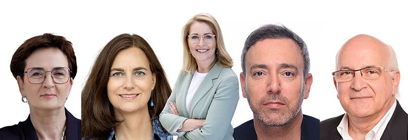 Birgit Sippel (Germany, S&D) Alexandra Geese (German, Greens), Christel Schaldemose (Denmark, S&D), Sergey Lagodinsky (German, Greens) and Javier Zarzalejos (Spain, EPP)  