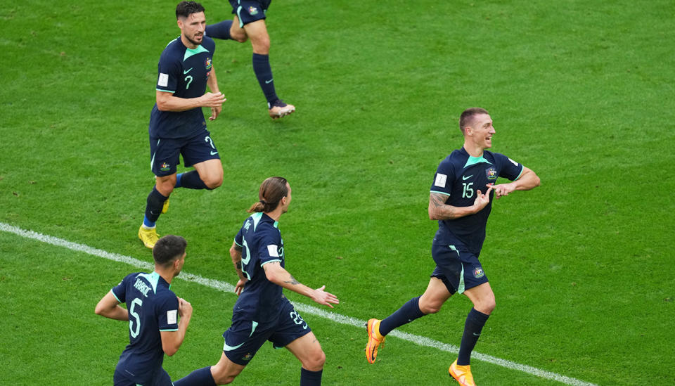 Mitch Duke, pictured here after scoring for the Socceroos against Tunisia at the World Cup.