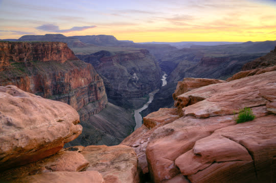 Majority of Americans Don't Know Where the Grand Canyon Is