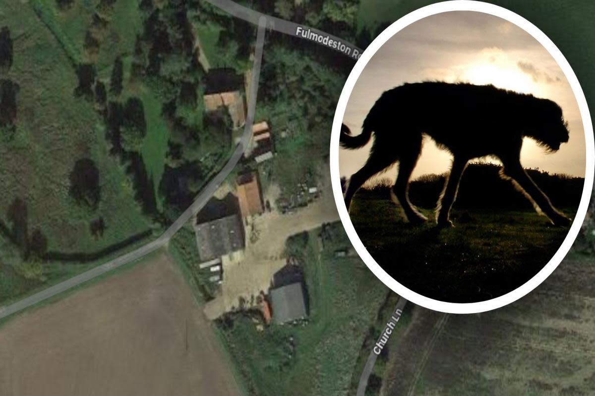 A company named after the mythical Black Shuck wants to turn two barns into a distillery and visitor centre <i>(Image: Google/Newsquest)</i>
