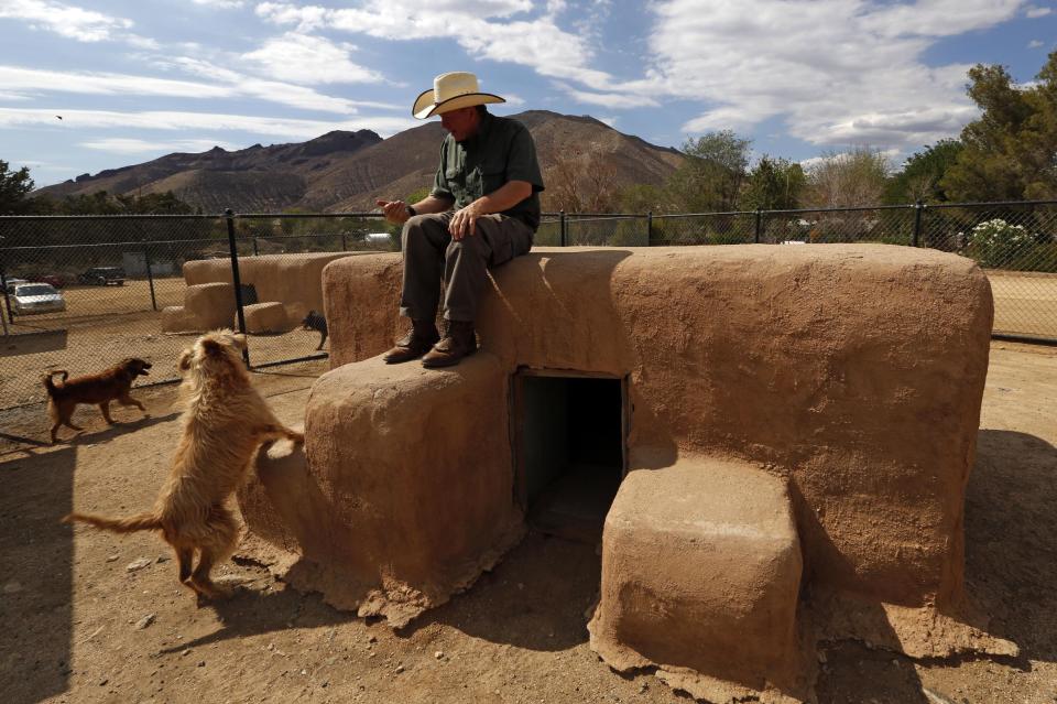 In this Aug. 29, 2013 photo, Leo Grillo sita atop one of dozens of dpg shelters, made from bales of straw, plyowood and stucco, at his DELTA (Dedication & Everlasting Love to Animals) Rescue complex in Acton, Calif. Nearly 35 years ago, Grillo thought he could get people to stop dumping dogs and cats in the forests and deserts of Southern California. After more than three decades, there is no end to the number of animals he finds discarded on the side of the road. Delta Rescue is now the largest no-kill, care-for-life sanctuary in the nation for abandoned pets, home to some 1,500 dogs, cats and horses with 50 employees, a state-of-the-art hospital with full-time veterinarian, and his own fire department. (AP Photo/Reed Saxon)