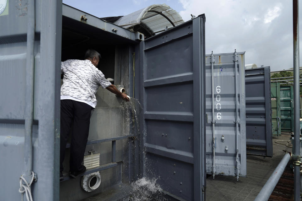 Arthur Lee, owner of MoVertical Farm, works on his fish tank inside a shipping container in Yuen Long, Hong Kong's New Territories Tuesday, Sept. 22, 2020. After a career making the shipping containers that transport untold tons of freight around the world, Lee has stuck with the metal boxes in retirement, now by repurposing them as farming environments for raising crops and fish. (AP Photo/Kin Cheung)