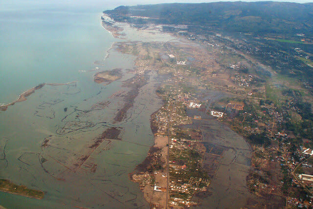 Aftermath of the 2004 tsunami