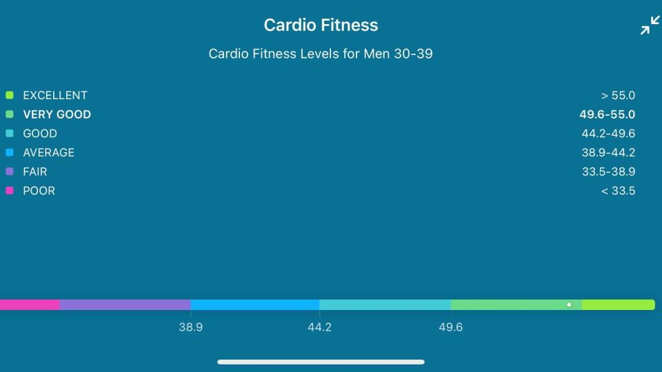 Screenshot of Fitbit VO2 Max scores