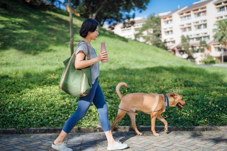 Woman walking one dog on a leash in the park (Photo: Getty Images)