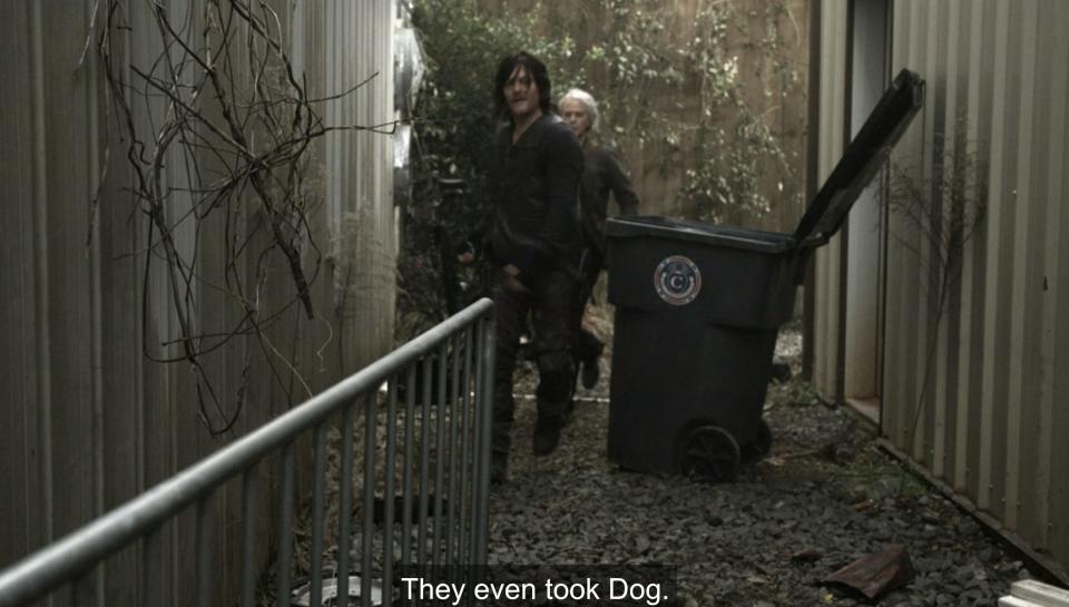 TWD 1120 dog